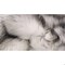 Homeroots 3 x 5 in. Sheepskin Rug and Throw - Gradient Gray 317174 - alternate 3
